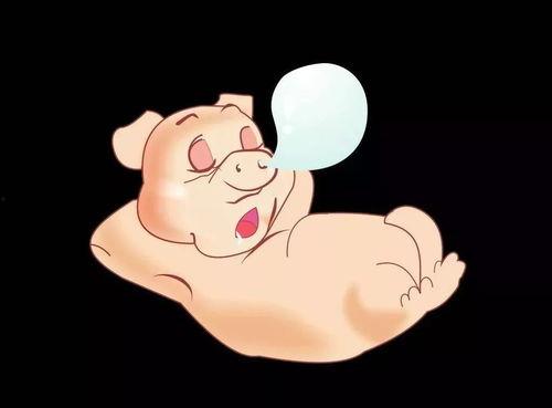 黄色吃瓜的猪,网络迷因背后的故事