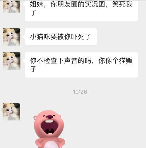 吃瓜微信全聊,揭秘娱乐圈幕后故事