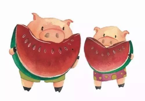 坐着吃瓜的猪,坐着吃瓜的猪的幸福时光