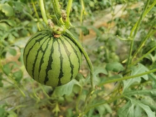 郑在吃瓜,揭秘娱乐圈背后的那些事儿