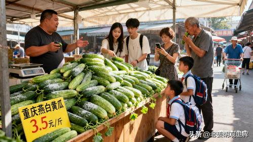 烟台海阳吃瓜,探寻烟台海阳特色美食之旅