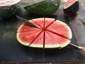 吃瓜少年看瓜,吃瓜少年带你领略瓜界风云