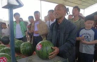 河北邯郸吃瓜群众,吃瓜群众的夏日狂欢