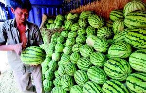 平城区吃瓜人,吃瓜人生，品味人间烟火