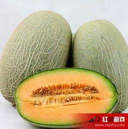 孕妇就喜欢吃哈密瓜好吗,营养美味两不误的孕期选择