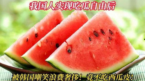 韩国看中国吃瓜,韩国视角下的中国“吃瓜”现象解析