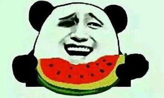 吃瓜群众啃的真正的瓜,吃瓜群众啃的瓜背后的真相