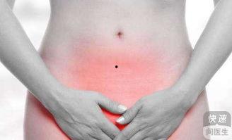 来月经可以吃毛瓜吃