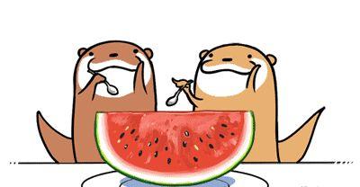 今日吃瓜必吃大瓜不打烊,大瓜不打烊，精彩不间断！