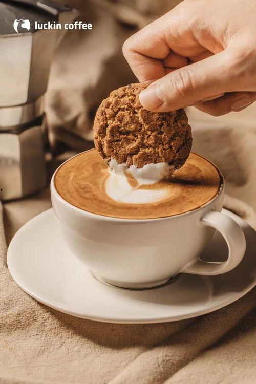 韶关咖啡吃瓜,一场吃瓜群众的狂欢盛宴