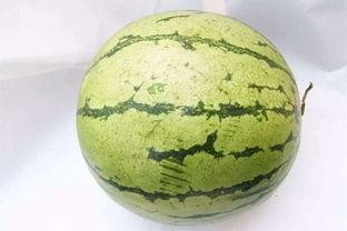 河北不该吃的瓜,河北人不宜食用的“禁忌瓜果”