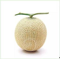 高级吃瓜的方法,轻松成为社交圈焦点