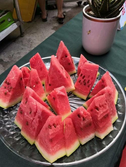 直播宁夏瓜自己吃,直播带货助力本地瓜农增收