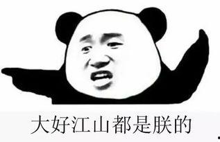 吃瓜回家群,揭秘网络社交背后的趣味与真相