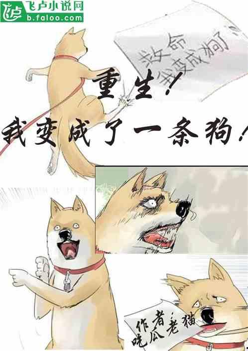 老猫吃瓜唱歌,趣味横生的乡村生活画卷