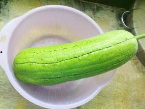 水瓜感冒可以吃,天然良方助您轻松康复