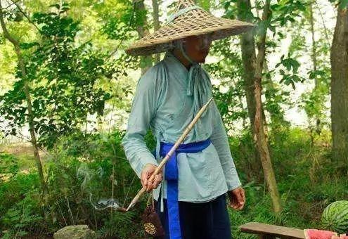 韩国江南吃瓜,揭秘韩国江南区的吃瓜盛事