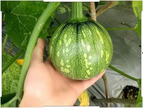 小徐同学吃瓜,揭秘娱乐圈那些事儿