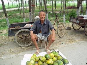 农村吃瓜路人,见证乡村变迁的甜蜜足迹