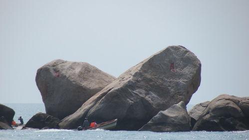海角吃瓜论坛,揭秘网络热议背后的故事与真相