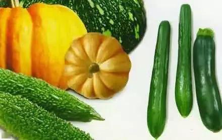 沉没吃瓜,揭秘吃瓜群众的神秘力量