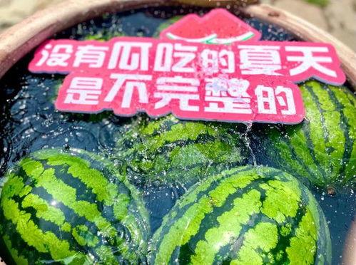 暴雪时分现场吃瓜,吃瓜群众围观电竞盛宴