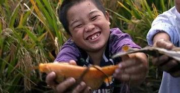 落日计划吃瓜,揭秘神秘吃瓜背后的故事