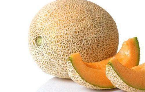 睡鼠吃哈密瓜吗,揭秘它们对哈密瓜的喜爱之谜