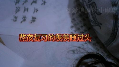 吃瓜吃到金子轩,意外收获金子轩的奇幻之旅