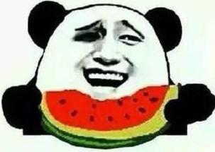 吃瓜群众青你2新瓜