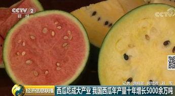 中国 吃瓜群众,网络时代的围观力量
